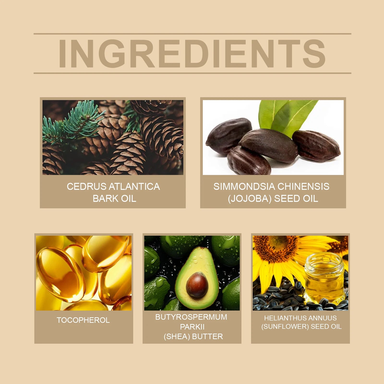 Cedarwood Beard Oil for Men