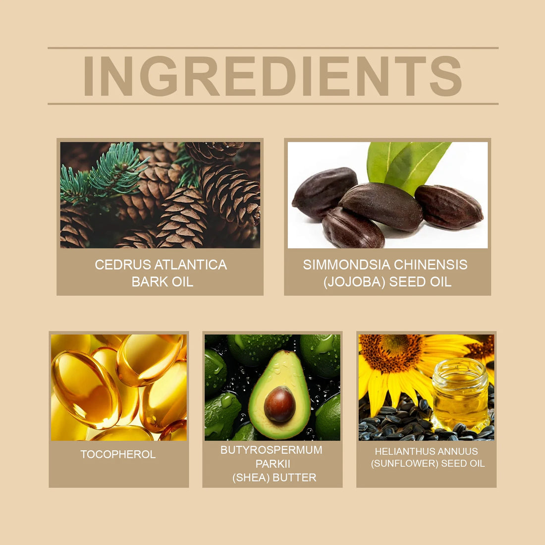 Cedarwood Beard Oil for Men