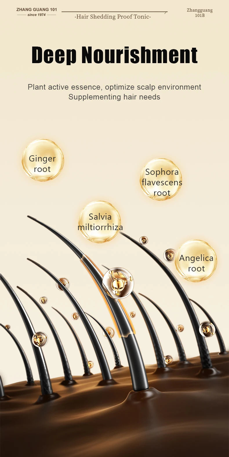 Zhangguang 101B/101M Hair Treatment Essence – 120ml