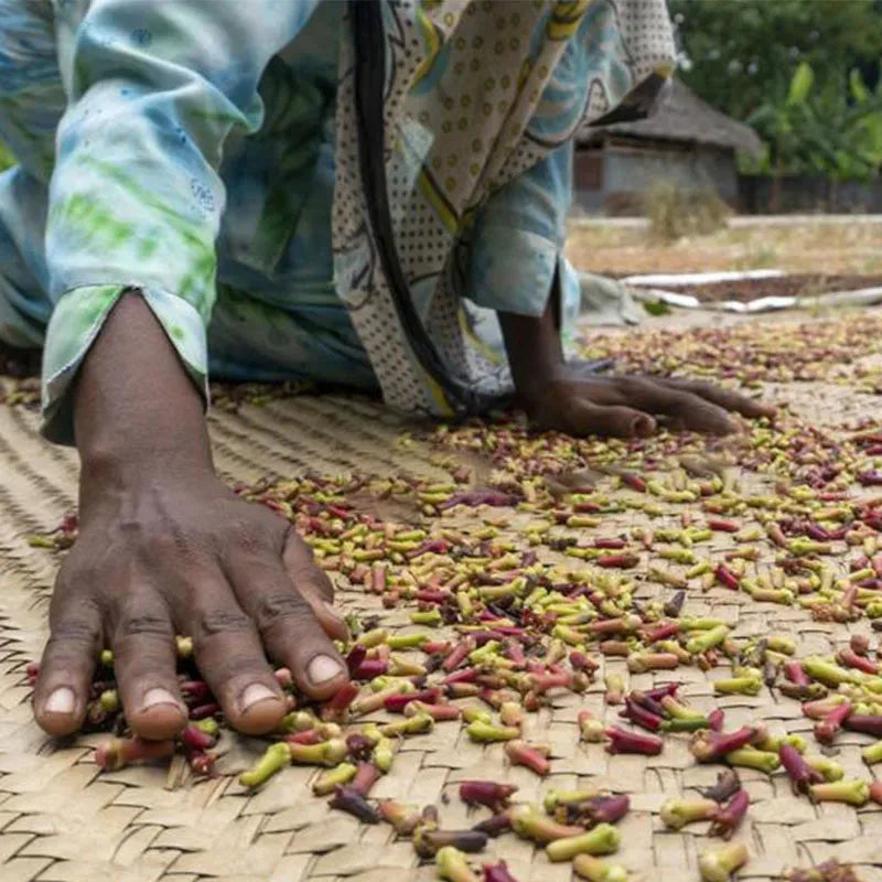 Fast Hair Growth Set – Batana Oil Treatment